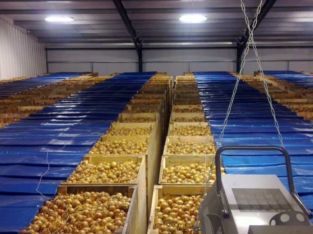 Щоб не втрачати плодоовочеву продукцію у великих масштабах, в регіонах України планують будувати сховища